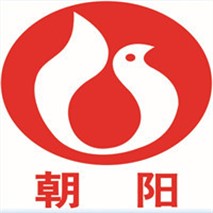 朝陽泵業(yè)QZ軸流、QH混流潛水電泵